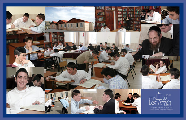 Lev Aryeh Collage